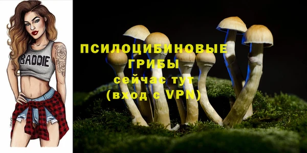 мяу мяу мука Армянск
