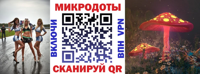 Псилоцибиновые грибы Magic Shrooms купить наркоту Бабаево